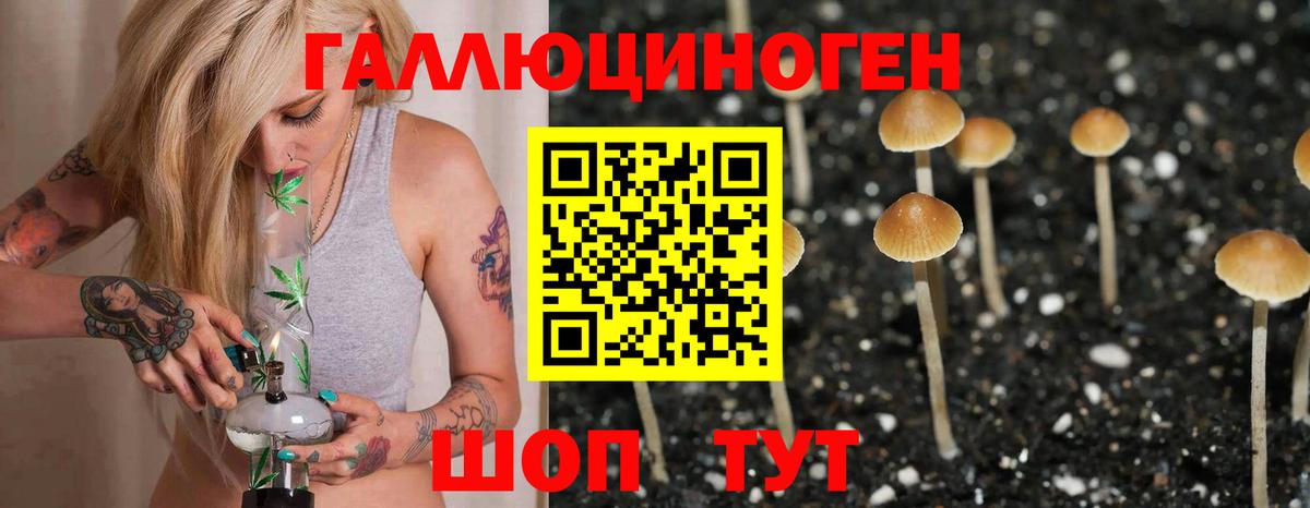 Кисловодск  Галлюциногенные грибы Psilocybine cubensis  Вход с VPN 