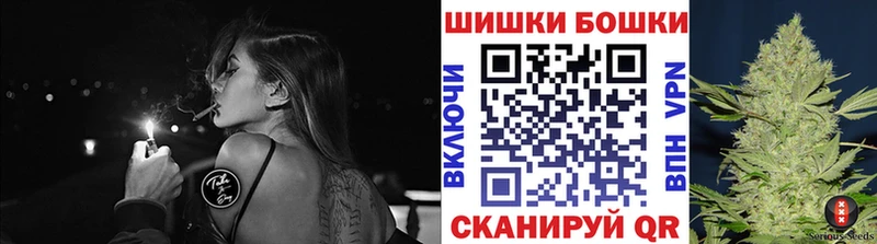 Бошки марихуана OG Kush  Кисловодск 